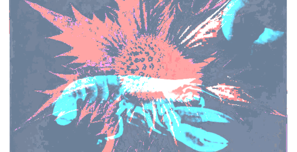 Tickets ATOMIC LOBSTER (grunge/alternative), & ATOMIC FRUIT (psych-art-rock) in Berlin