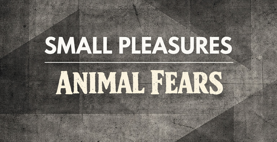 Tickets SMALL PLEASURES (post-punk-duo, can), & ANIMAL FEARS (indie-punk noise-pop, bln) in Berlin
