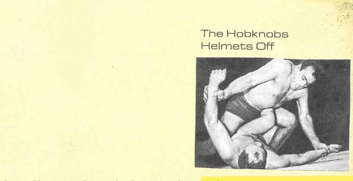 Tickets THE HOBKNOBS, lofi-pop, nl in Berlin